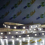 Світлодіодна стрічка вологозахисна UkrLed, 5 м (блістер), SMD 2835, 120 LED, 7.2 Вт/м, 12 V, 4000 K, IP65