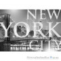 Бумажные фотообои в зал Komar New York City 1-614, 184х127 см