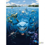 Фотошпалери в дитячу Komar Disney 4-406 Nemo, 184х254 см 