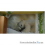 Фотошпалери в дитячу Komar National Geographic 1-605 Polar Bears, 184х127 см 