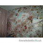 Фотошпалери в спальню Komar National Geographic 8-507 Spring, 368х254 см 