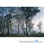 Фотообои в зал Komar National Geographic 8-523 Fantasy Forest, 368х254 см
