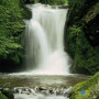 Фотошпалери в передпокій Komar 2-1047 Ellowa Falls, 97х220 см