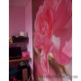 Фотообои в спальню Komar 4-713 Bouquet, 184х254 см
