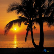 Фотошпалери в зал Komar 8-255 Palmy Beach Sunrise, 368х254 см 