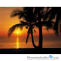 Фотошпалери в зал Komar 8-255 Palmy Beach Sunrise, 368х254 см 