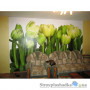 Фотообои в спальню Komar 8-900 Tulips, 368х254 см