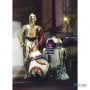 Фотообои в зал Komar Komar Star Wars 4-447 Three Droids, 184х254 см