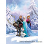 Бумажные фотообои в детскую Komar Frozen Winter Land 4-498, 184x254 см