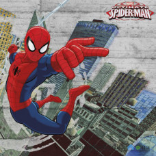 Паперові фотошпалери в дитячу Komar Spider-Man Concrete 8-467, 368х254 см