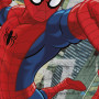 Бумажные фотообои в детскую Komar Spider-Man Concrete 8-467, 368х254 см