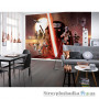 Фотообои в зал Komar Komar Star Wars 8-492 EP7 Collage, 368х254 см