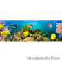 Флизелиновые фотообои в детскую Wizard & Genius 4-860 Морские кораллы, 366х127 см