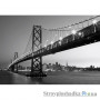 Флізелінові фотошпалери в зал Wizard & Genius 8-958 Горизонт Сан Франциско, 366х254 см