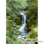Фотошпалери в спальню Wizard & Genius 4 00364 Waterfall In Spring, 183х254 см