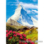 Фотошпалери в зал Wizard & Genius 4 00373 Matterhorn, 183х254 см