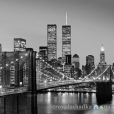 Фотошпалери в зал Wizard & Genius 8 00138 Manhattan Skyline At Night, 366х254 см
