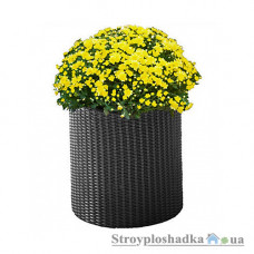Горшок для цветов Keter Cylinder Planter Medium 17197934902_М, 36 см, шт