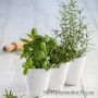 Горшок для цветов Keter Ivy Herbs 17197630w, 13 см, шт