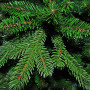 Искусственная ель Triumph Tree Deluxe Sherwood 2.15 м, зеленая (389097)