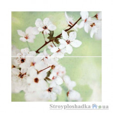 Кафель декор-панно Opoczno Early Spring, 59.4х60, цветок, компл.