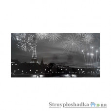 Картина на двп Artpic K-263, 33x70 см, Ночной Париж (ч/б)