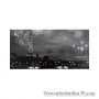 Картина на двп Artpic K-263, 33x70 см, Ночной Париж (ч/б)