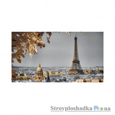 Картина на холсте Artpic G1312, 100х53 см, Осень в Париже