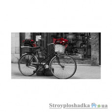 Картина на холсте Artpic G159, 100х53 см, Ретро-велосипед