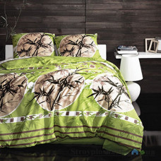 Комплект постельного белья Arya Ранфорс в коробке 160х230 см, Zen (1 пододеяльник, 1 простынь, 1 наволочка), хлопок, рисунок-круги, зеленый