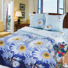 Комплект постельного белья Miratex Top Dreams Cotton Агата, 150х220 см, (пододеяльник, простынь, 2 наволочки), голубой, цветы