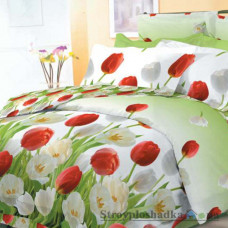 Комплект постельного белья Viluta 9818, 145x214 см (1 пододеяльник, 1 простынь, 2 наволочки), ранфорс, рисунок-цветы, зеленый