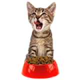 Корма для кошек Корма для кошек