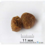 Сухий корм MeraDog Care Junior 2, для цуценят великих порід, 12.5 кг (050550)
