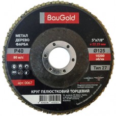 Пелюстковий шліфувальний круг Т27, BauGold, 125*22,23 Р40