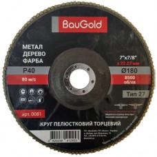 Пелюстковий шліфувальний круг Т27, BauGold, 180*22,23 Р40