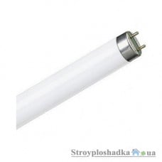 Люминесцентная лампа Osram L 36W/640, 36 Вт, 1200 мм, G 13, 25 шт./уп.
