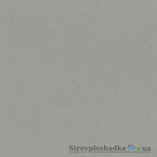 Флізелінові шпалери Rasch Crispy Paper 527025, 0,53x10,05, 1 рул.