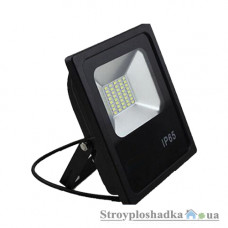 Світлодіодний прожектор Ledex Premium, 30 Вт, 6500 K (12734)