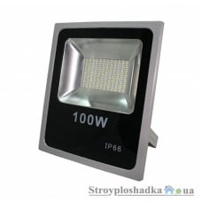 Светодиодный прожектор Ledmax FLOOD100XP, 100 Вт, 6500 K