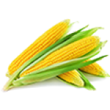 Семена кукурузы