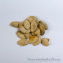 Семена кабачка Грибовской-37 Dionysus, 20 шт