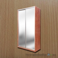 Шкаф-купе Феникс Мебель Стандарт, 110х45х210 см, зеркало/зеркало, бук