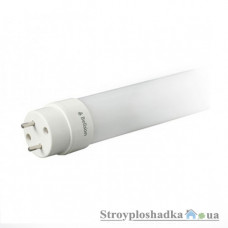 Лампа світлодіодна Bellson BL-G13/10W-900/60/T8 скло, 10 Вт, 6500 K, 240 B, G13