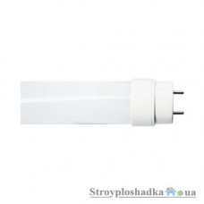 Лампа світлодіодна Feron LB-211 T8, 10 Вт, 6400 K, 230 В, G13 (4437)